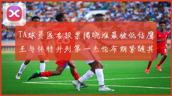 TA球员匿名投票揭晓谁最被低估鹰王与怀特并列第一杰伦布朗紧随其后