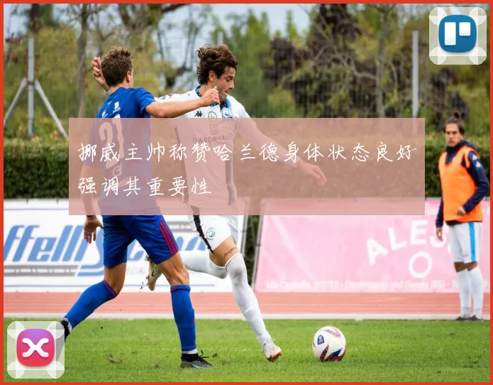 挪威主帅称赞哈兰德身体状态良好强调其重要性