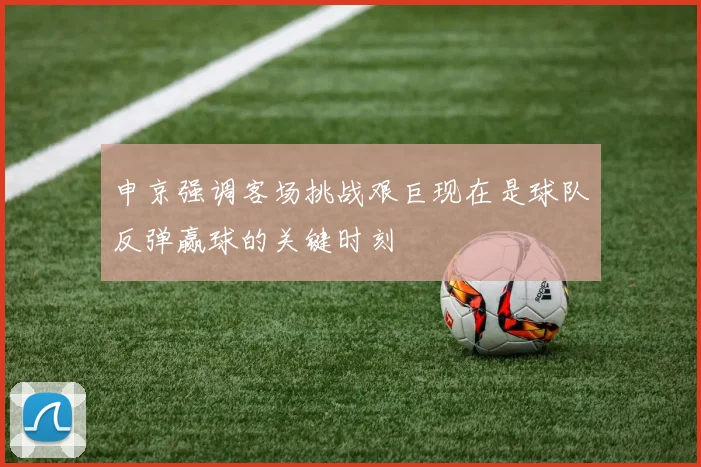 申京强调客场挑战艰巨现在是球队反弹赢球的关键时刻